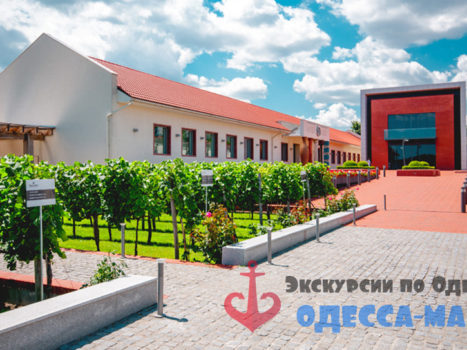 Экскурсия по «Центру культуры вина Шабо» из Одессы